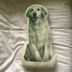 Golden Retriever Photo Pillow